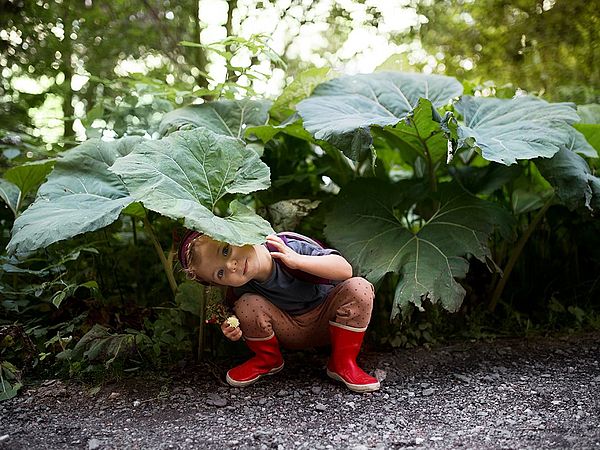 Ein kleines Mädchen in Gummistiefeln versteckt sich unter dem großen Blatt einer Pflanze.