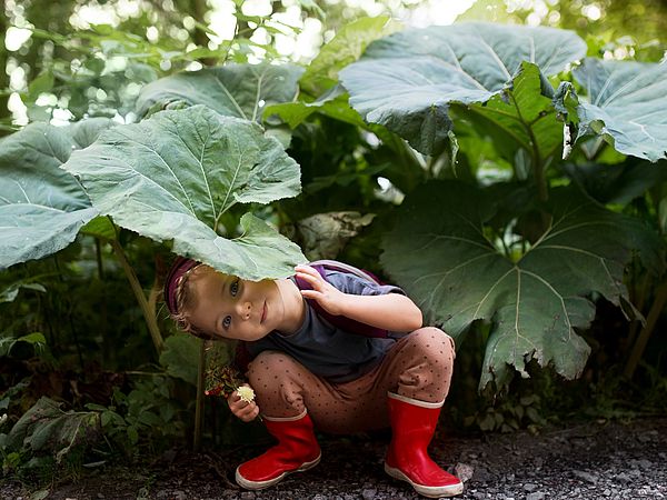 Ein kleines Mädchen in Gummistiefeln versteckt sich unter einem großen Pflanzenblatt im Wald.