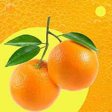 Zwei Orangen mit grünen Blättern sind auf einem kreisrunden gelben Hintergrund platziert, dazu gibt es eine orange Oberfläche im Hintergrund.