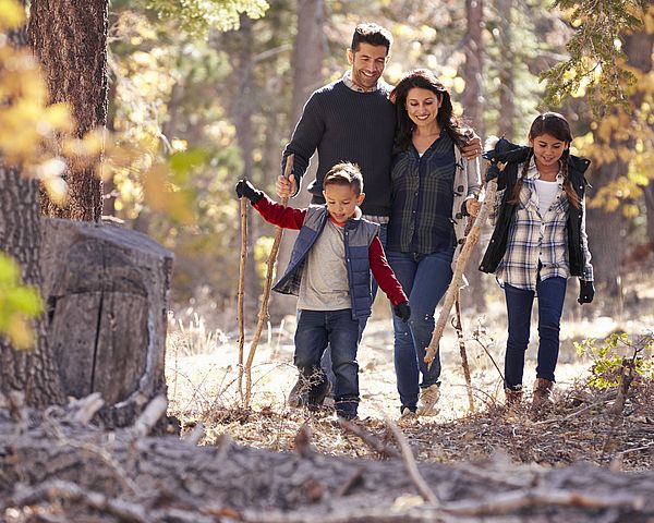 Eine glückliche Familie mit zwei Kindern spaziert durch einen Wald.