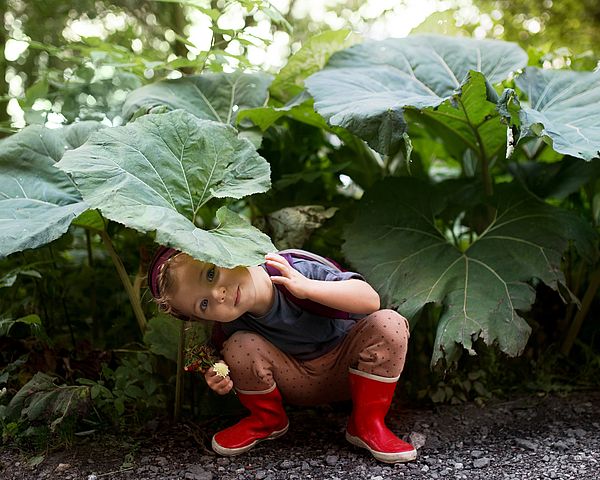 Ein kleines Mädchen in Gummistiefeln versteckt sich unter einem großen Pflanzenblatt im Wald.