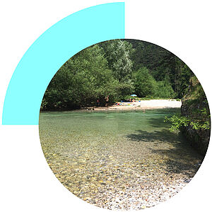 Ein klarer Flusslauf mit einer hellen Schotterbank inmitten eines dichten grünen Waldes.