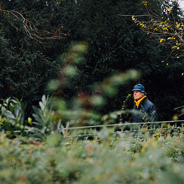 Das Bild zeigt eine grüne Pflanzenkulisse im Park: Im Vordergrund ist viel Grün, klein im Hintergrund sieht man einen älteren Herrn mit Fischerhut, dunkler Jacke und gelbem Schal beim Spazieren..
