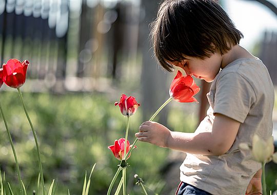 Ein Bub befindet sich auf einer Wiese und riecht dabei an einer Blume