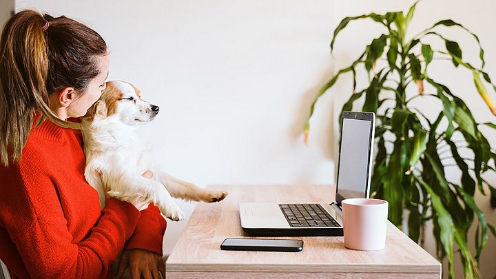 Eine junge Frau sitzt am Schreibtisch vor ihrem Laptop und hält ihren Hund in den Armen.