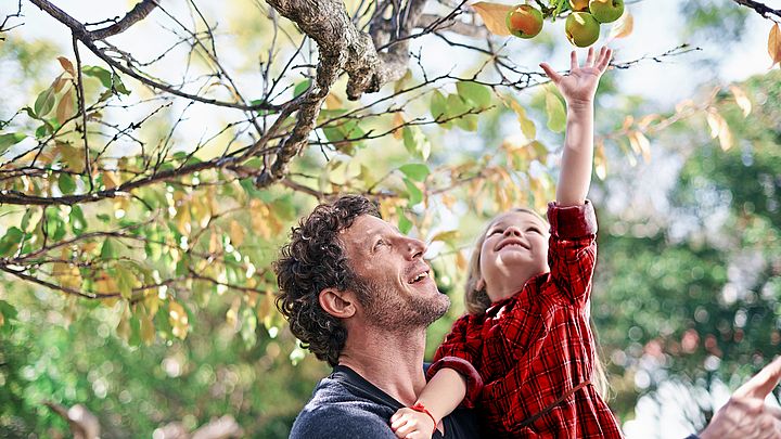 Ein junger Vater hebt seine kleine Tochter in die Höhe damit sie einen Apfel vom Baum pflücken kann.